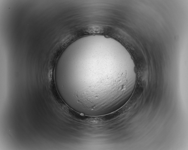 X0000095960652200801251151