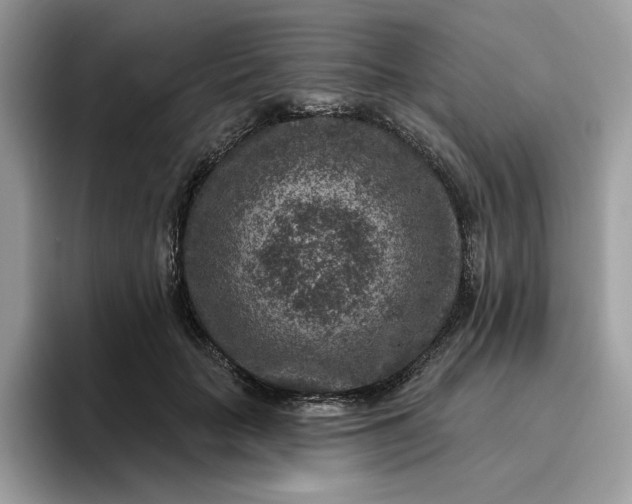 X0000095960653200801251151