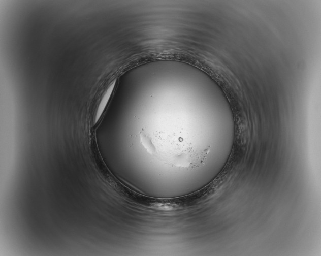 X0000095960654200801251151