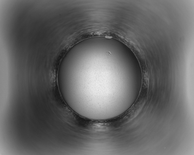 X0000095960657200801251151