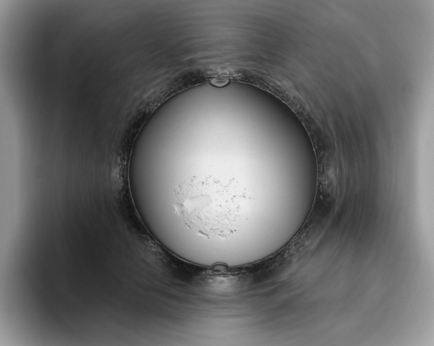 X0000095960658200801251151