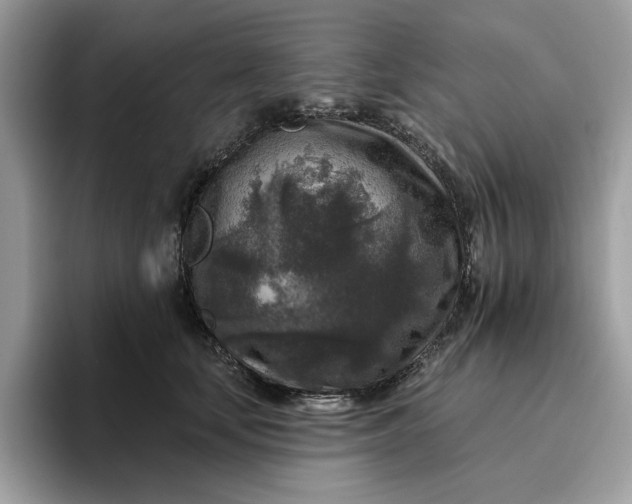 X0000095960659200801251151