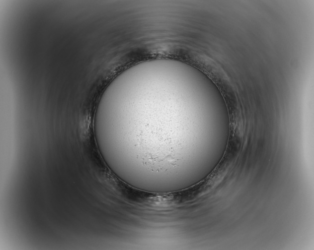 X0000095960660200801251151