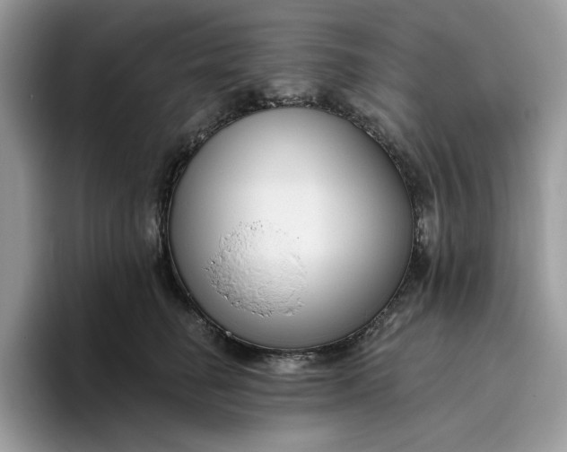 X0000095960662200801251151