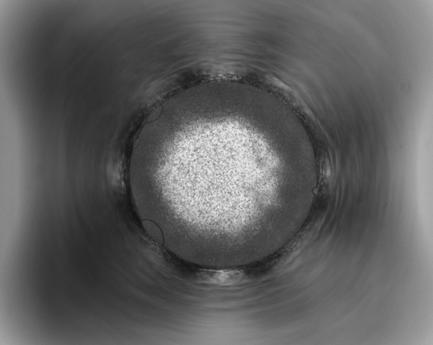 X0000095960663200801251151