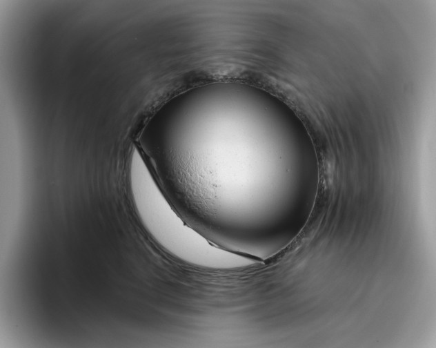 X0000095960664200801251151