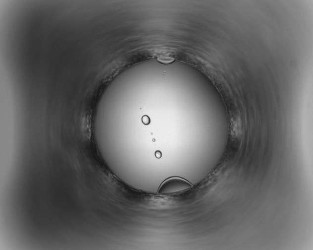 X0000095960666200801251151