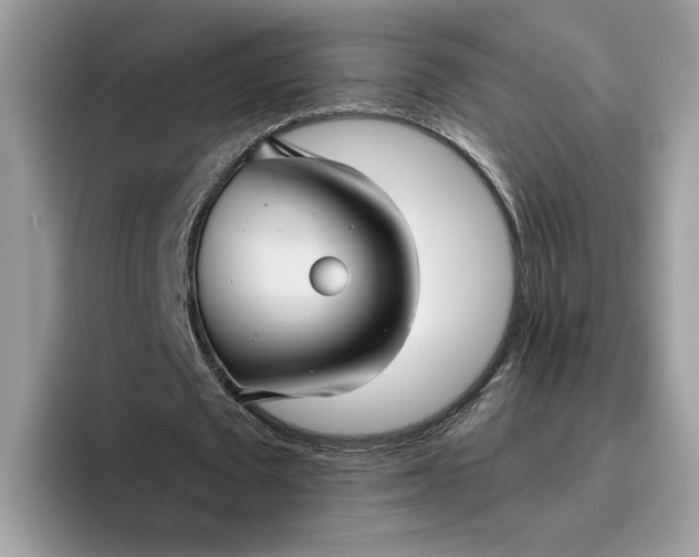 X0000095960673200801251150