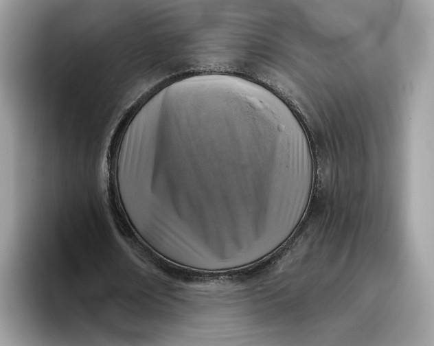 X0000095960674200801251150