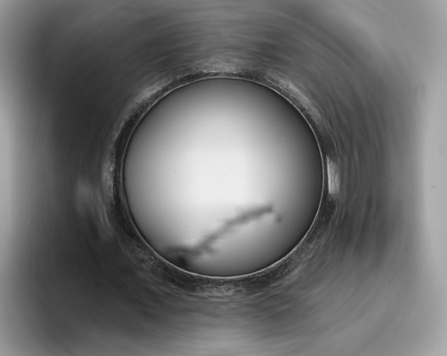 X0000095960675200801251150