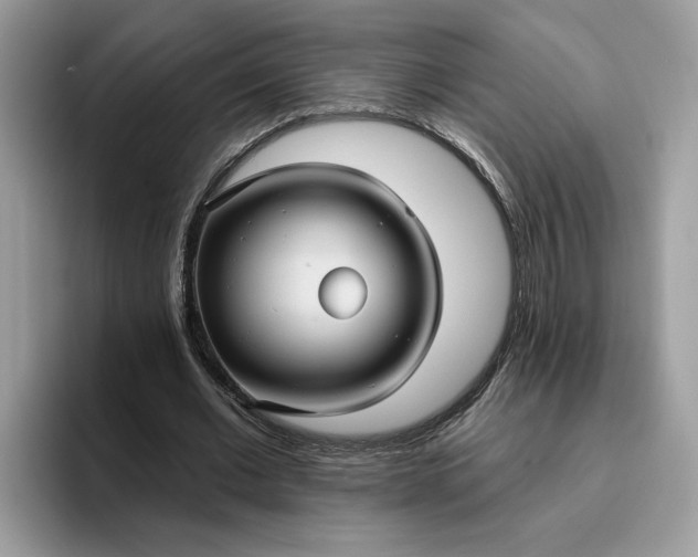 X0000095960677200801251150