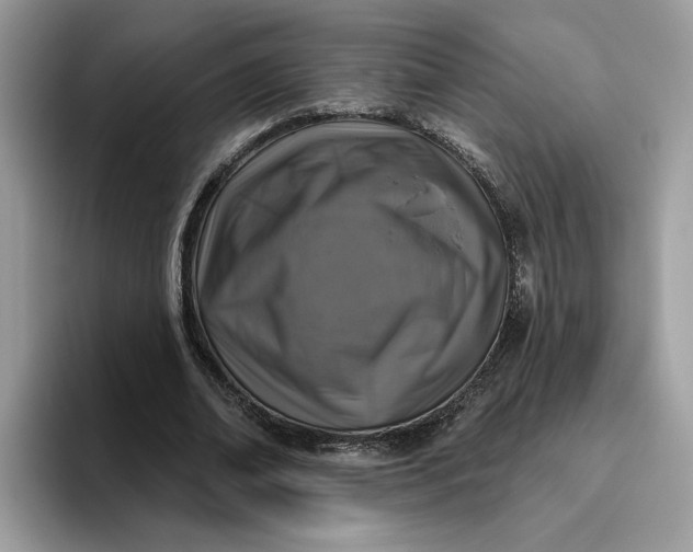 X0000095960678200801251150