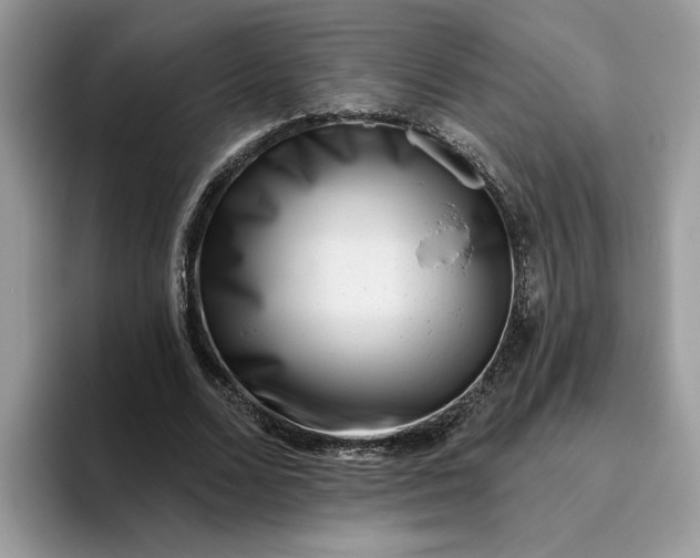 X0000095960680200801251150