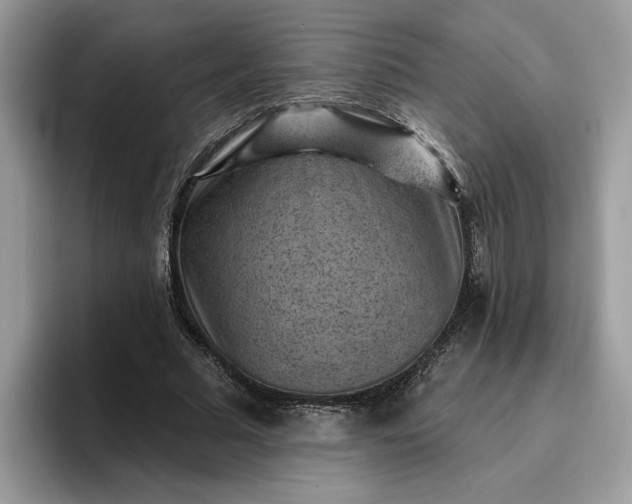 X0000095960681200801251150