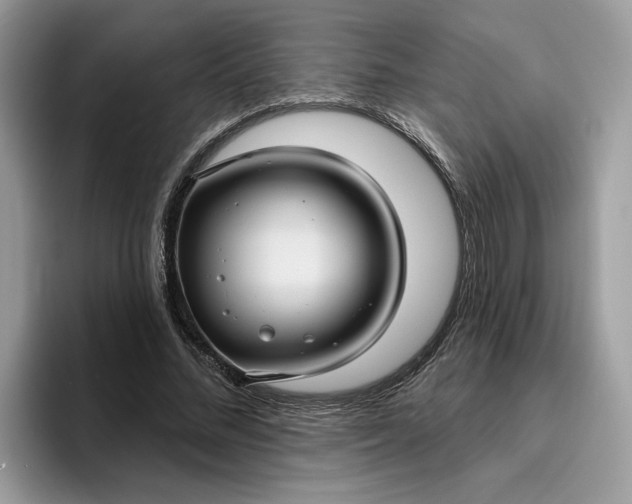 X0000095960684200801251150