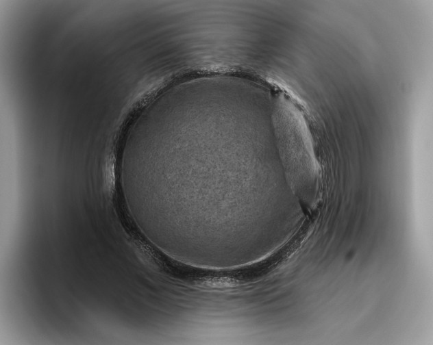 X0000095960685200801251150