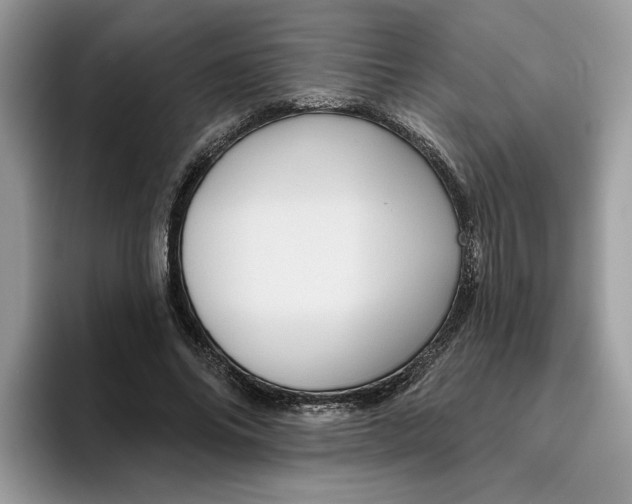 X0000095960686200801251150