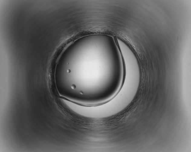 X0000095960688200801251150