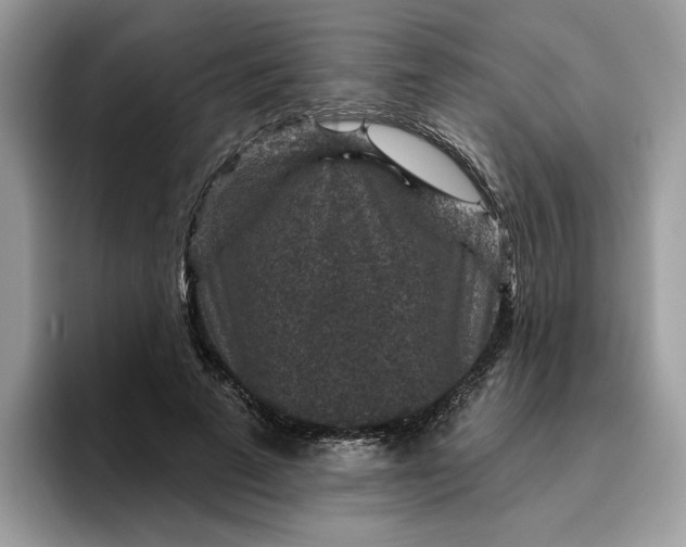 X0000095960689200801251150