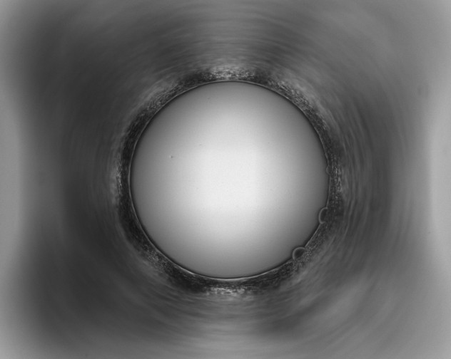 X0000095960690200801251150