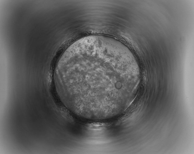 X0000095960691200801251150