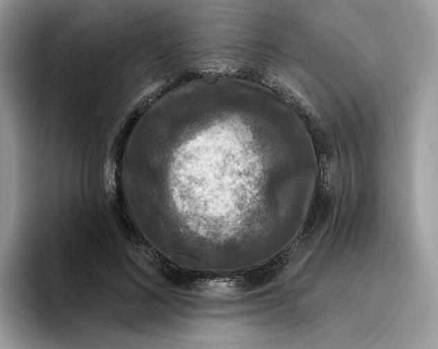 X0000095960692200801251150