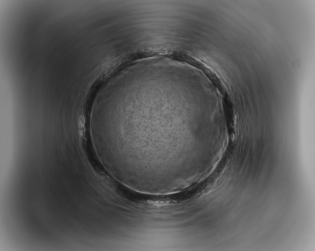 X0000095960693200801251150