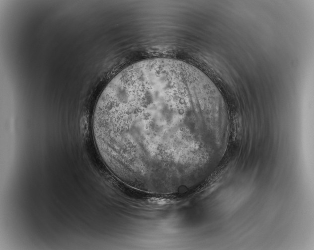 X0000095960699200801251150