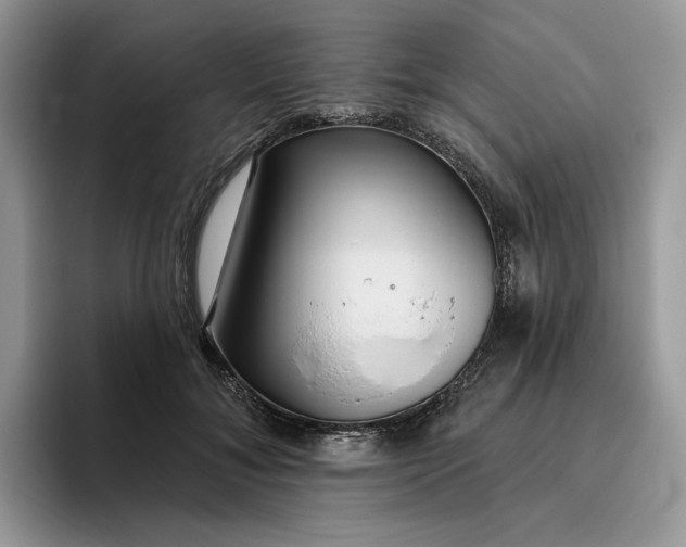 X0000095960700200801251150