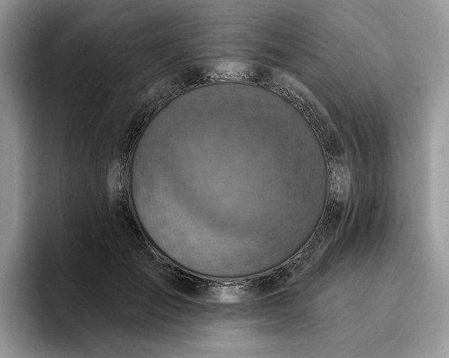 X0000095960701200801251150