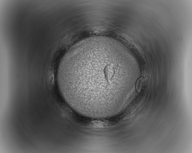 X0000095960703200801251150