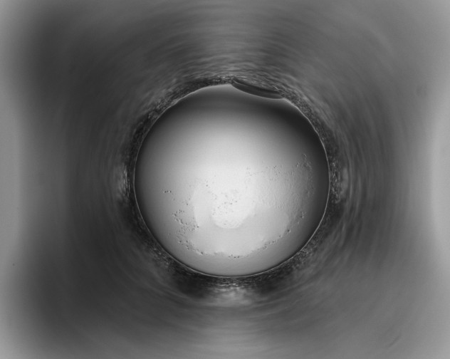 X0000095960704200801251150