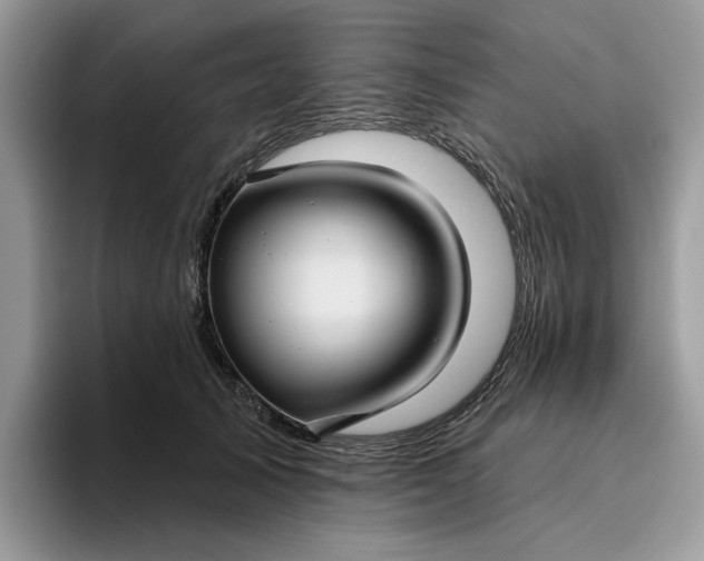 X0000095960705200801251150