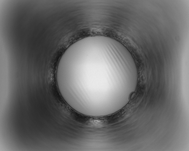 X0000095960706200801251150