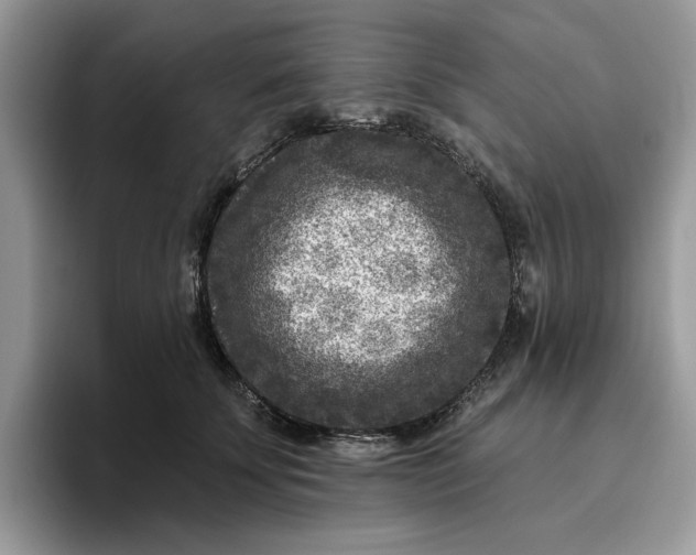 X0000095960707200801251150