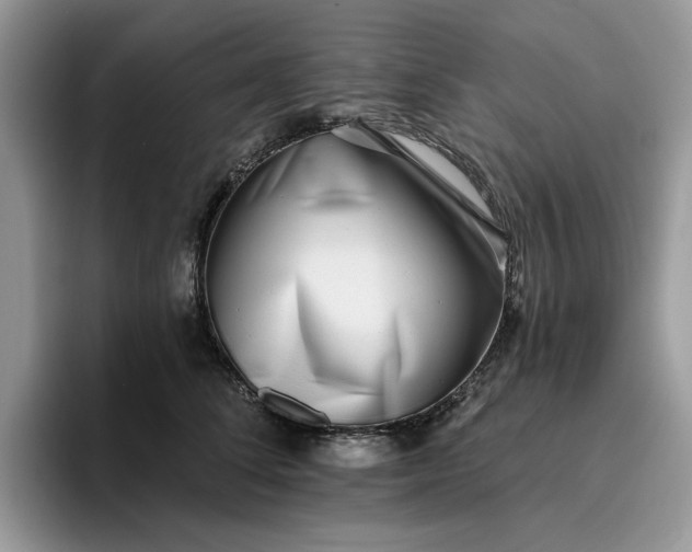 X0000095960708200801251150