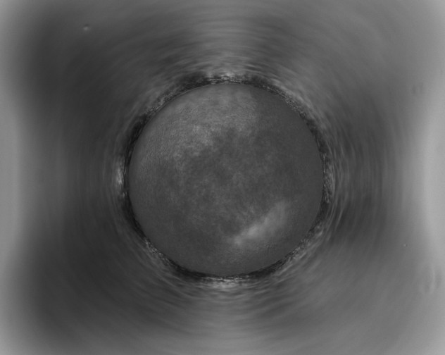 X0000095960709200801251150