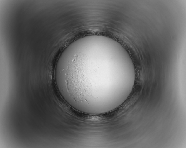 X0000095960710200801251150