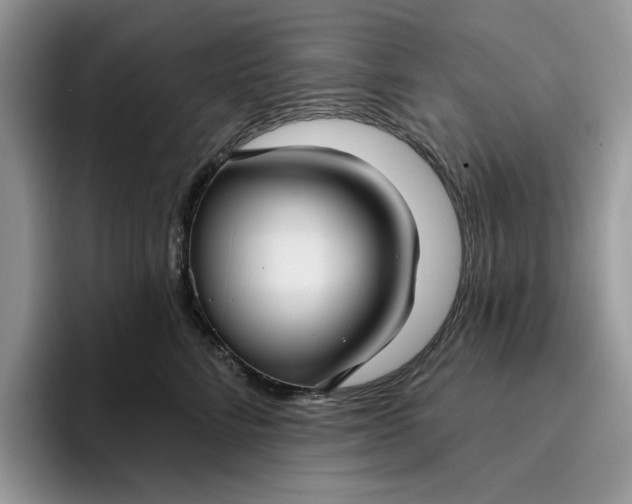 X0000095960712200801251150