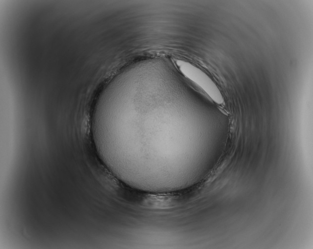 X0000095960713200801251150