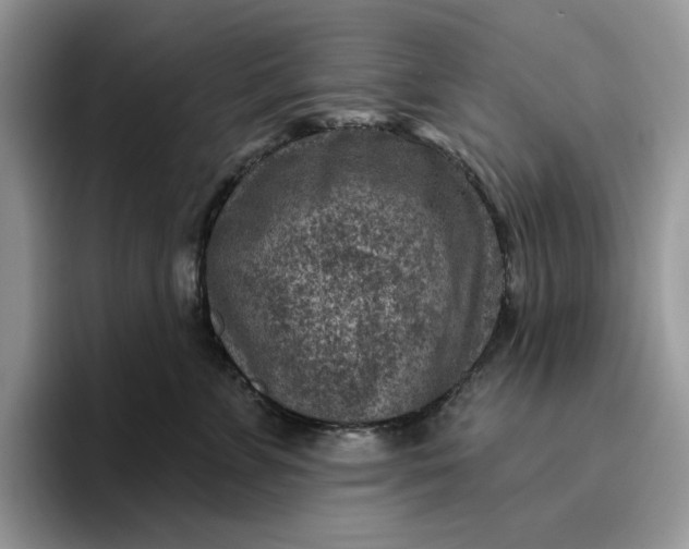 X0000095960715200801251150