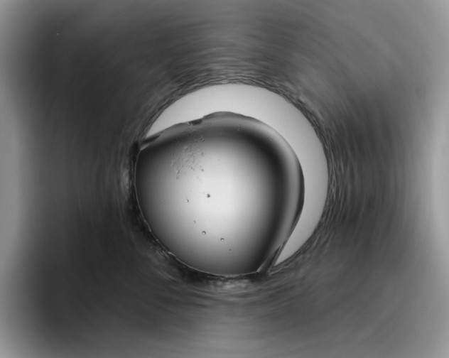 X0000095960716200801251150