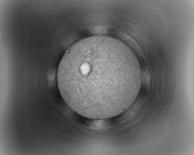 X0000095960717200801251150