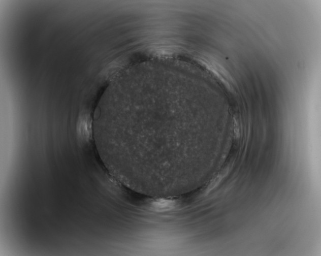 X0000095960718200801251150