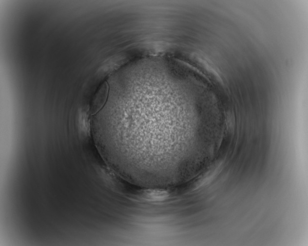 X0000095960719200801251150