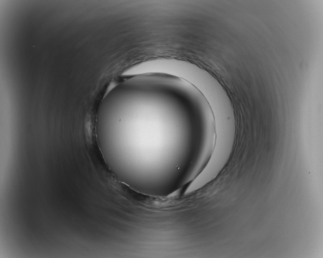 X0000095960720200801251150