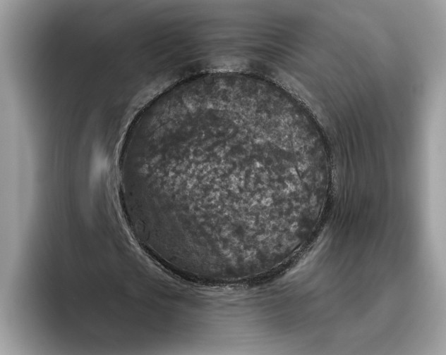 X0000095960721200801251149