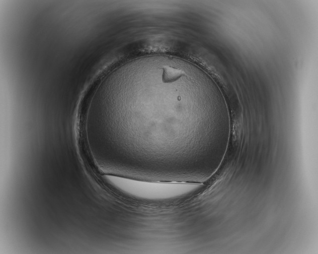 X0000095960722200801251149