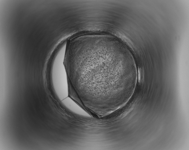 X0000095960723200801251149