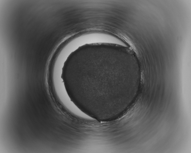 X0000095960724200801251149